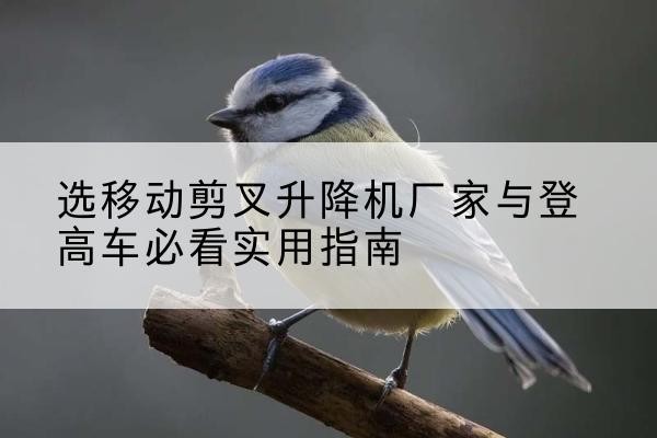 慈利电动升降机厂家-选移动剪叉升降机厂家与登高车必看实用指南