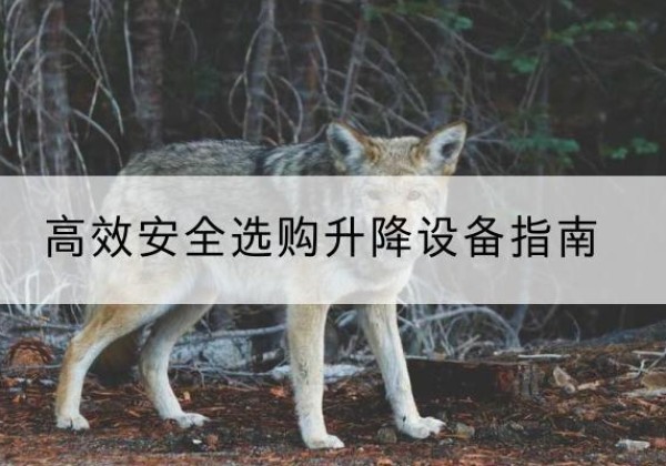 慈利升降货梯厂家推荐-*安全选购升降设备指南